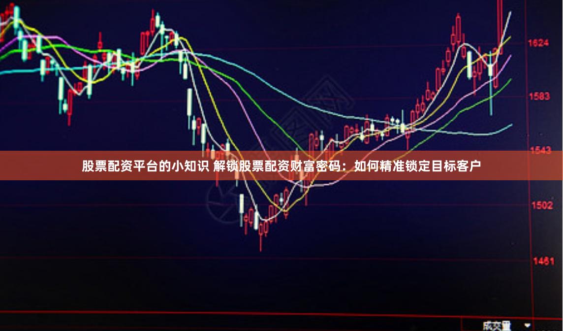 股票配资平台的小知识 解锁股票配资财富密码：如何精准锁定目标客户