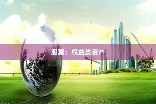 股票：权益类资产