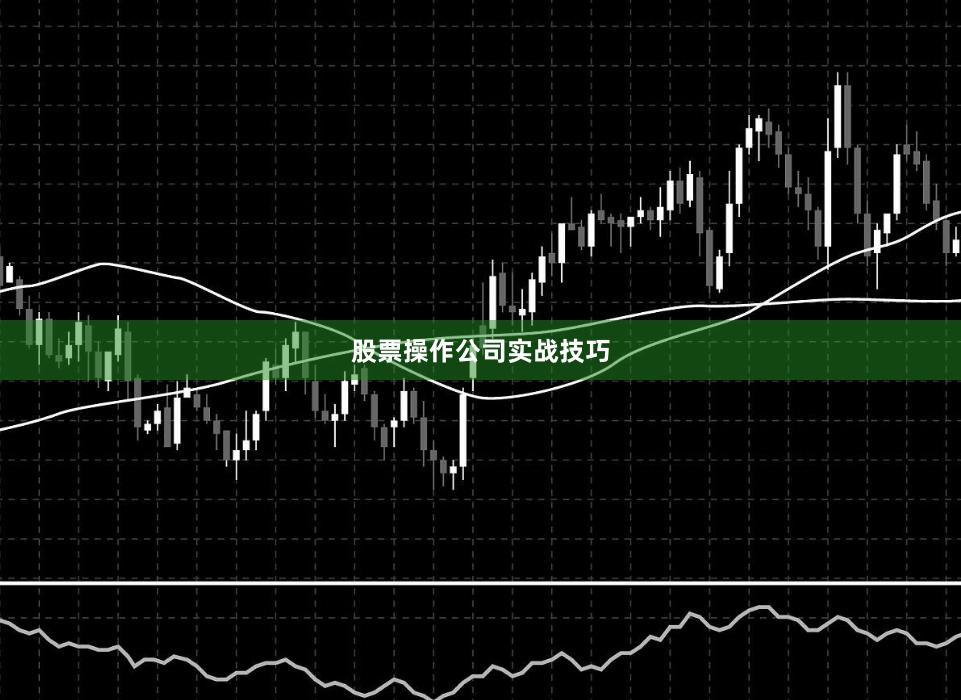 股票操作公司实战技巧