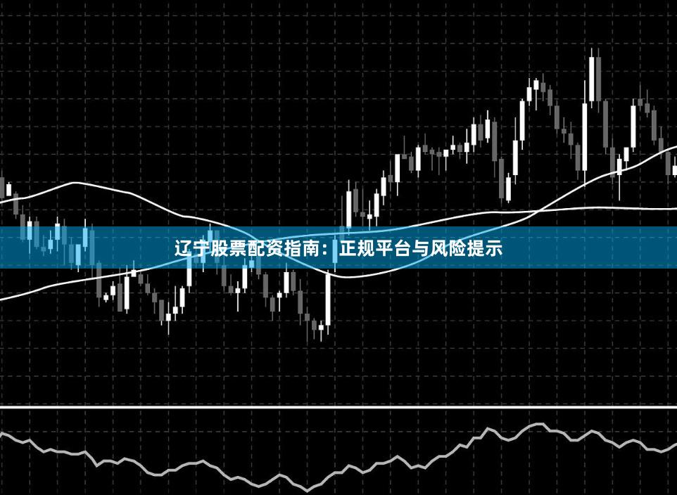 辽宁股票配资指南：正规平台与风险提示