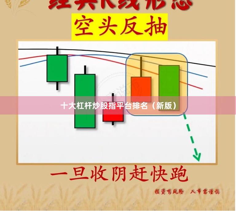 十大杠杆炒股指平台排名（新版）